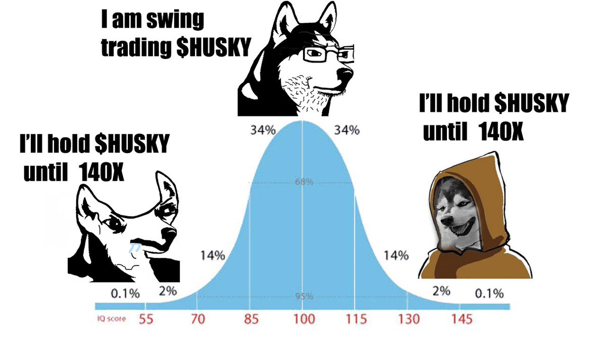 HUSKY🔺 tweet media