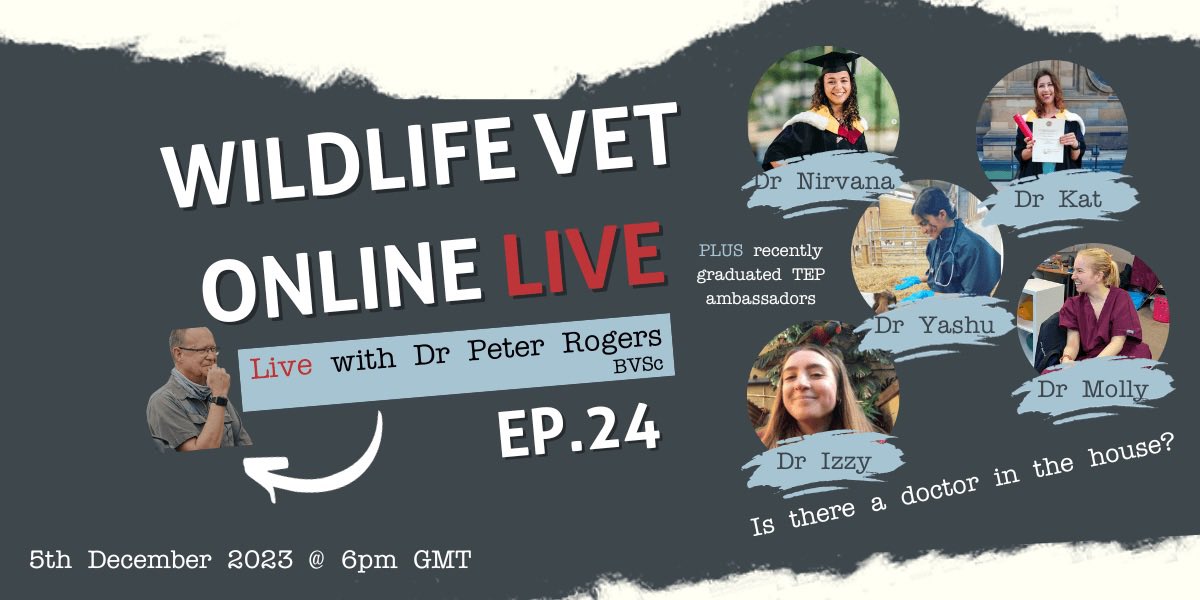 Don’t miss our reunion live stream with Dr Peter Rogers and Wildlife Vet Online co-creators and TEP’s original ambassadors – <a href="/nivleaver/">Nirvana Leaver</a>, <a href="/Izzy_3006/">Isabel Beardwood</a>, Yashu, Molly and Katrina on Tuesday, 5th December 2023 at 6pm GMT

Register here: streamyard.com/watch/zhDz4NMZ…