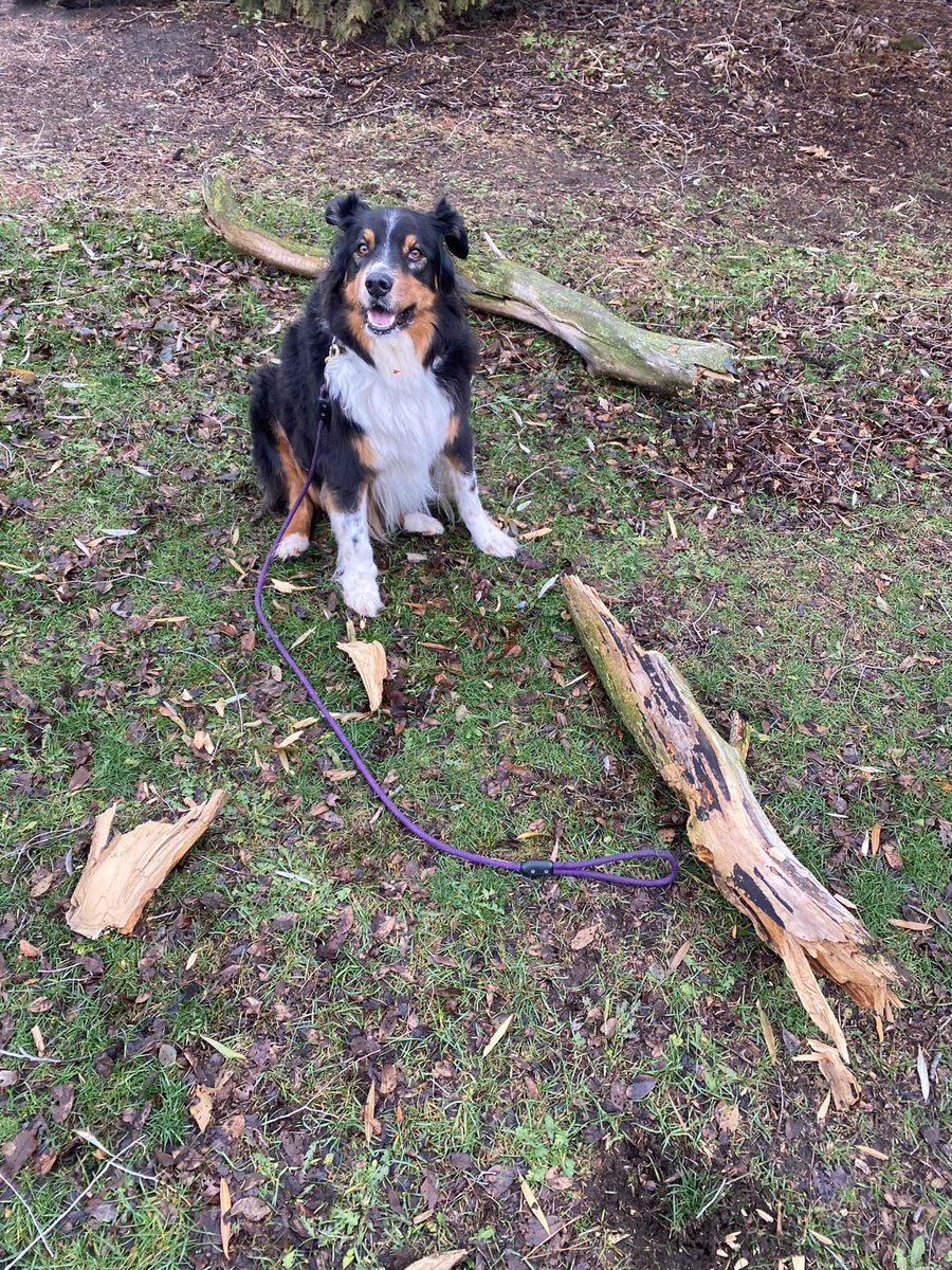 David Hiller tweet media