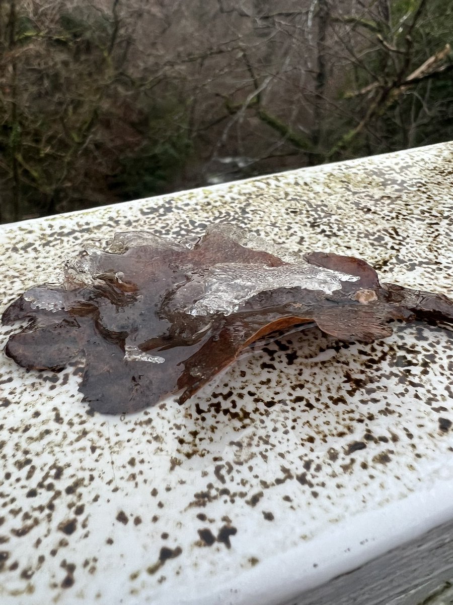wapple15's tweet image. Just in time to say good morning from #DevilsBridge 🏴󠁧󠁢󠁷󠁬󠁳󠁿❄️🌧️🌧️🌧️🌧️