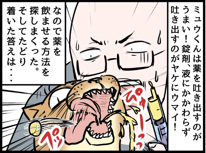 ニャンコへの投薬方法で最強なの見つけた!(我が家版) covovoy.blog.jpからまだ未公開の最新話を読むことができます!  #ニャンコ #まんが #猫 #猫あるある #猫漫画 #ペット #飼い主 #エッセイ漫画 #キャット #猫のいる暮らし