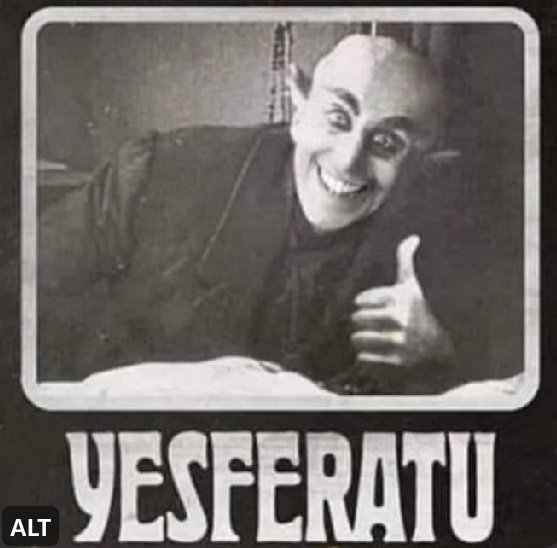 ThiBeck's tweet photo. @anitasaltiel Poxa Ani, que merda. Toma uns meme https://t.co/1sal39Wmba
