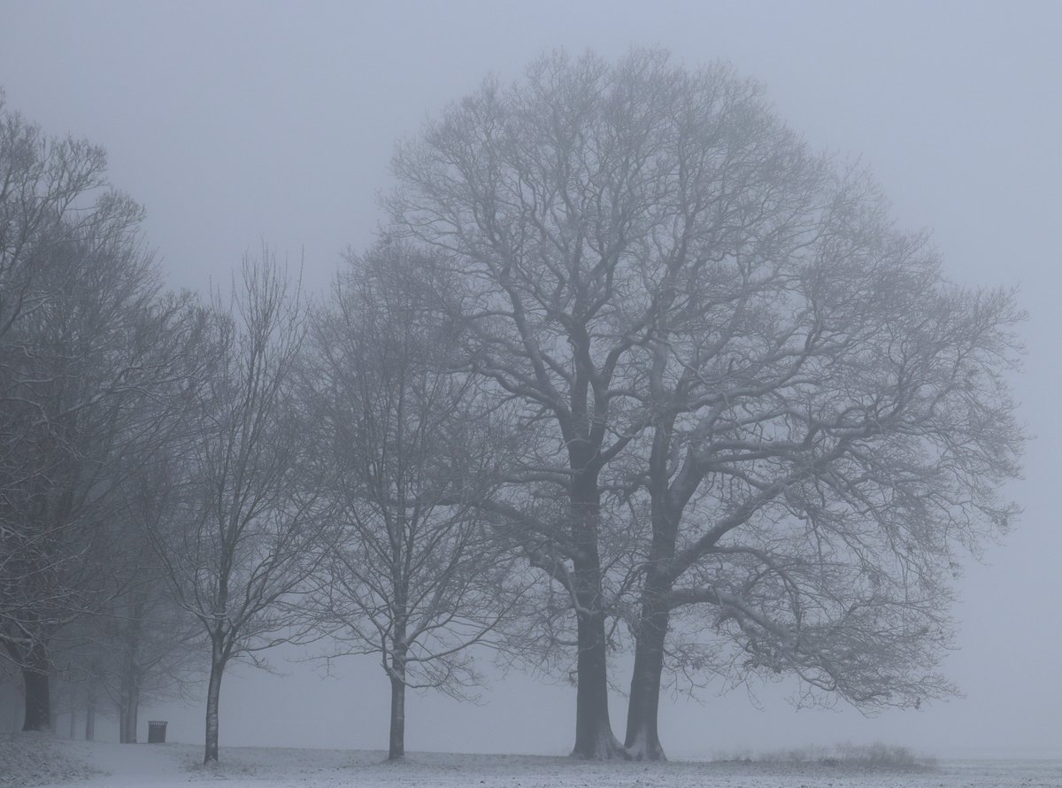 Tony Harcup tweet media