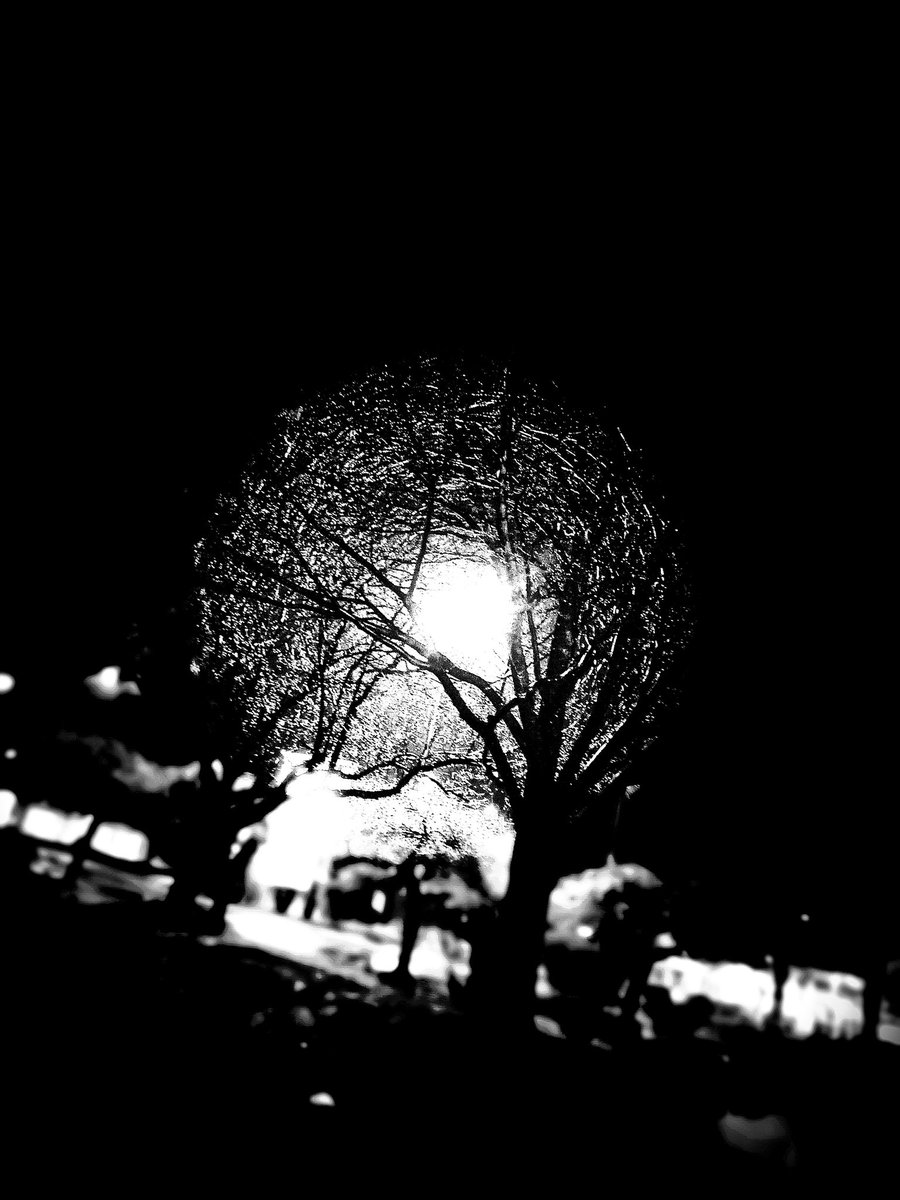 My love for black and white continues. I took this shot a couple of hours ago.