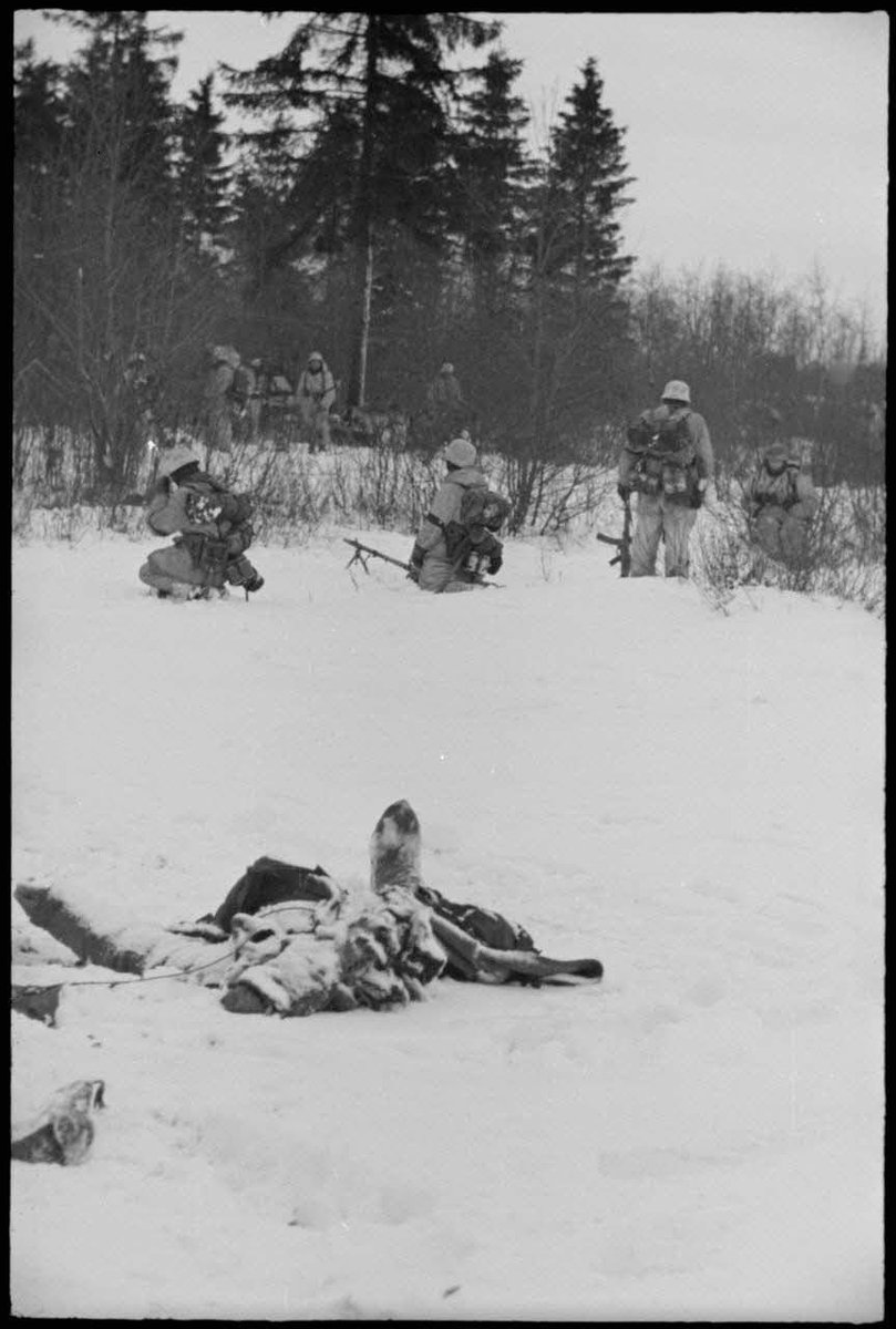 StG44Geek's tweet photo. A Jäger platoon patrolling along a railway embankment in West Ukraine or Belarus
Photographer: Werner Böhmer.
Date: Winter 1943/44.
#Sturmgewehr #StG44 #MP44 #MP43 https://t.co/2xBDjBn5sK