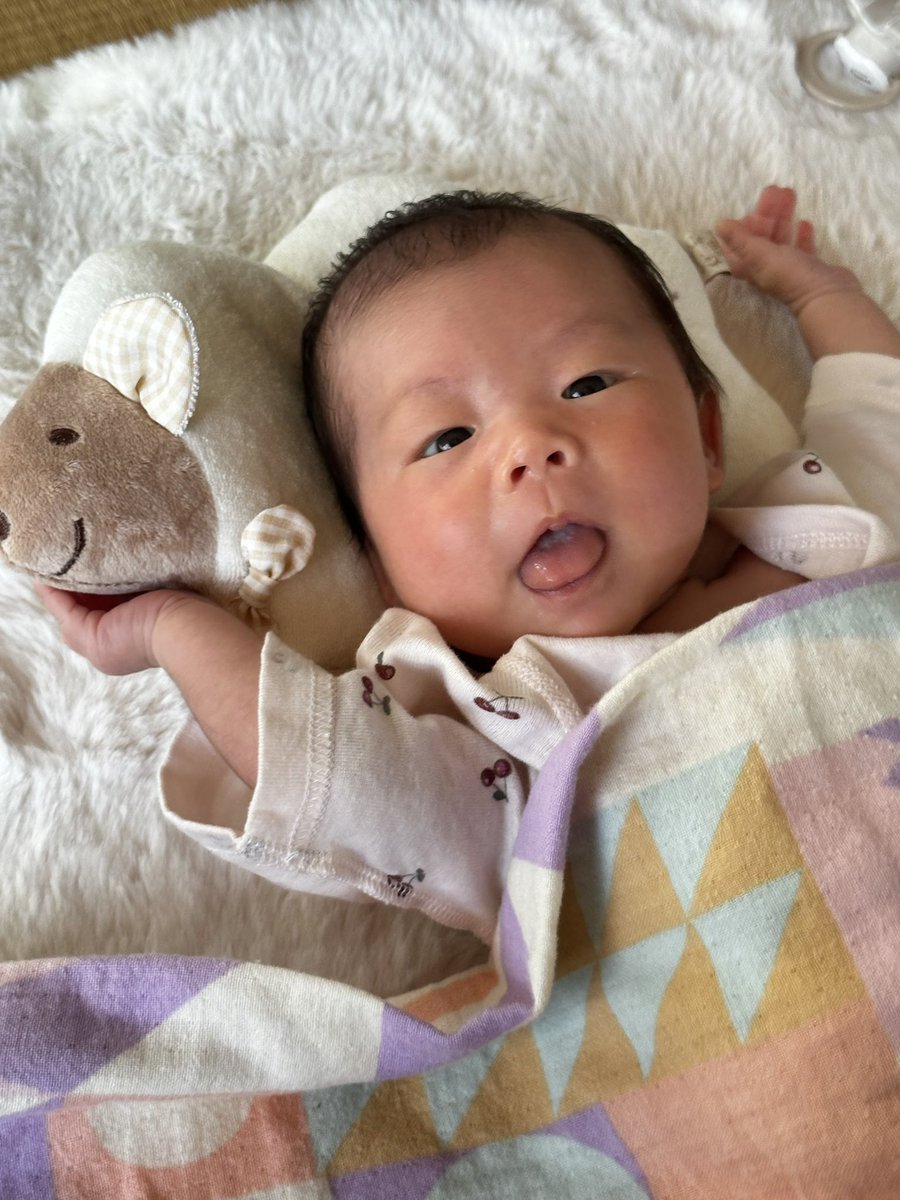 nuko56's tweet photo. 生後2ヶ月過ぎてすくすく育っているのだ〜パパ㌧安心めろめろ〜🥰 https://t.co/ybz1srmQ5f