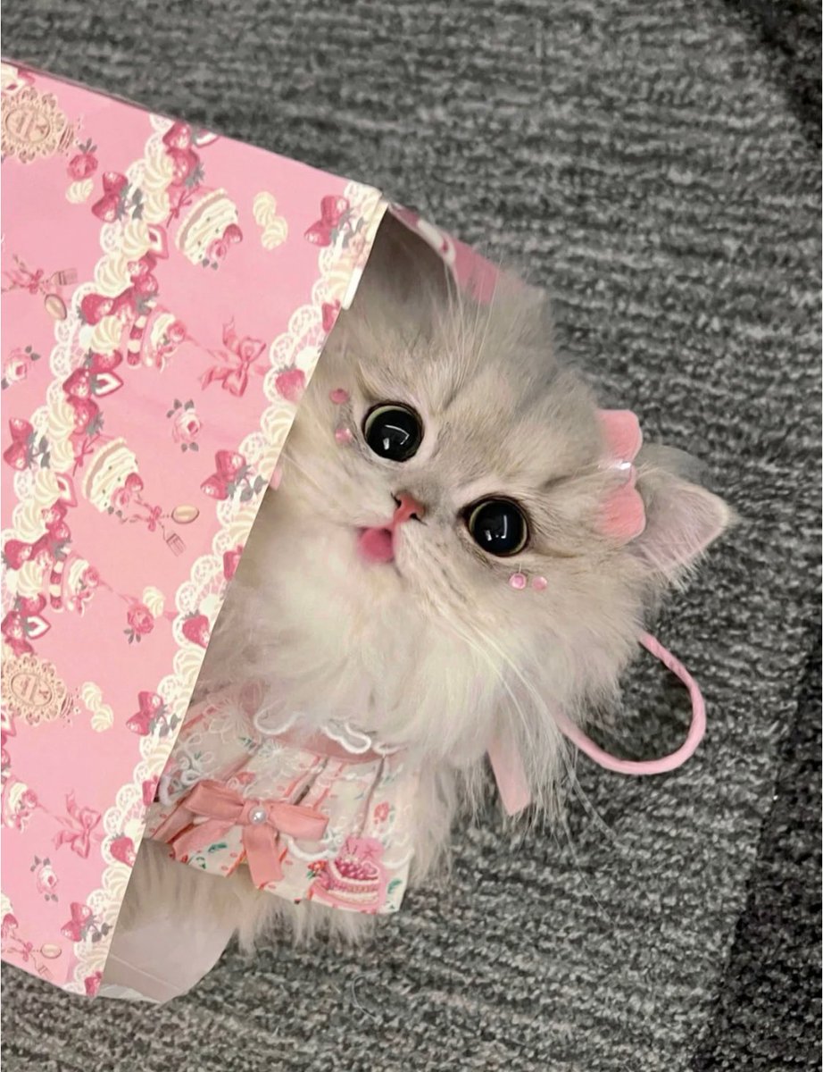 piinkimi_'s tweet photo. princess kitty https://t.co/2p7DmYyICi