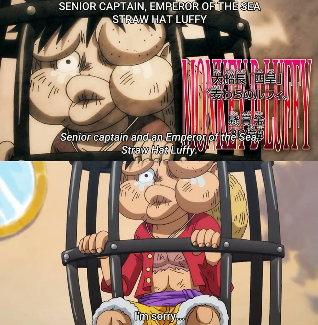 Memes one piece - La de hoy es una buena jjajajja avr cual