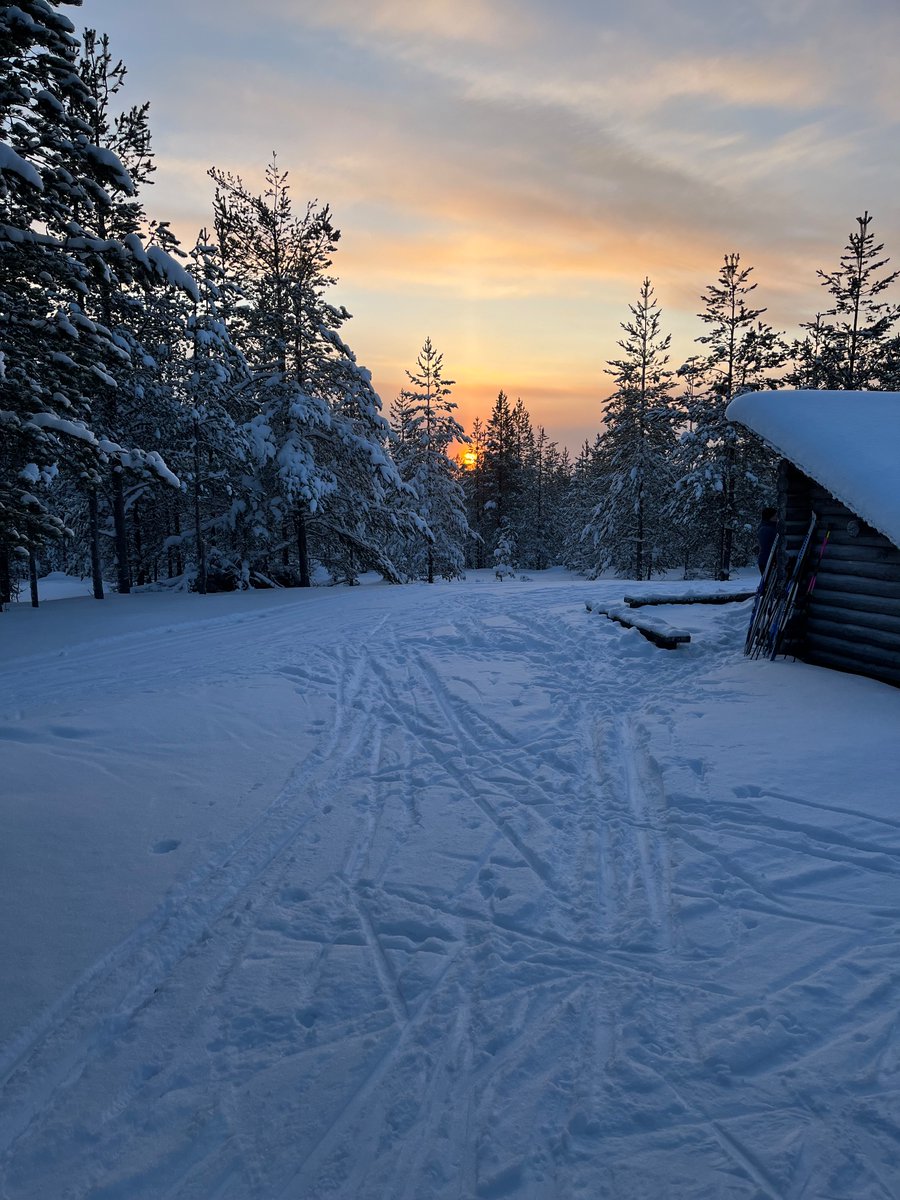 Mennään kohti vuoden pimeintä aikaa. Iltapäivät häviää olemasta, aurinko näyttäytyy vain korkeimmilla paikoilla. Nyt on aika ottaa lyhkäisiä askeleita. #Rovaniemi #Kaamos #VisitRovaniemi