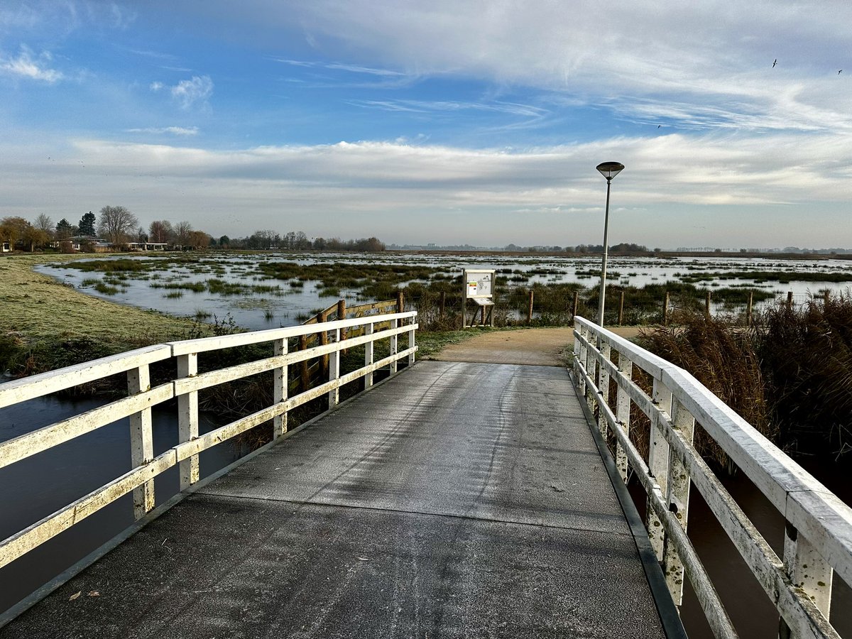 Roald Lapperre tweet media