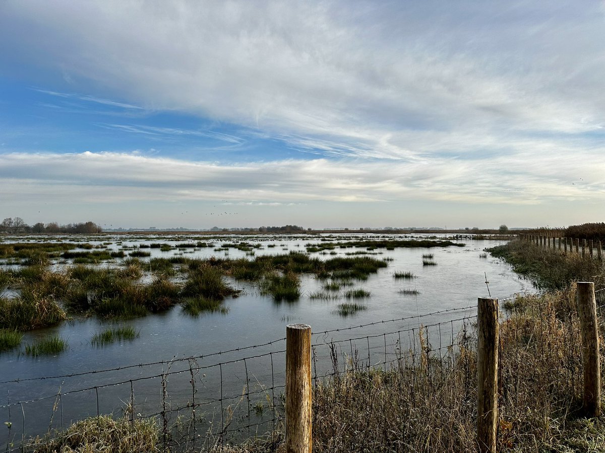 Roald Lapperre tweet media