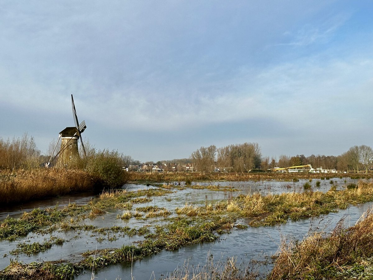 Roald Lapperre tweet media