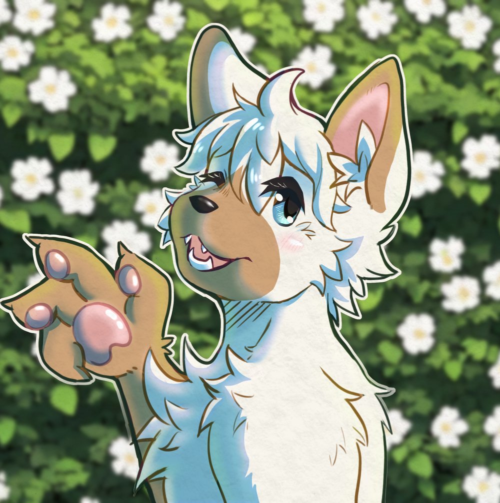 🌙【 ame 】🌙 tweet media