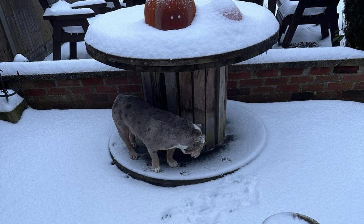 Amy Tyson tweet media