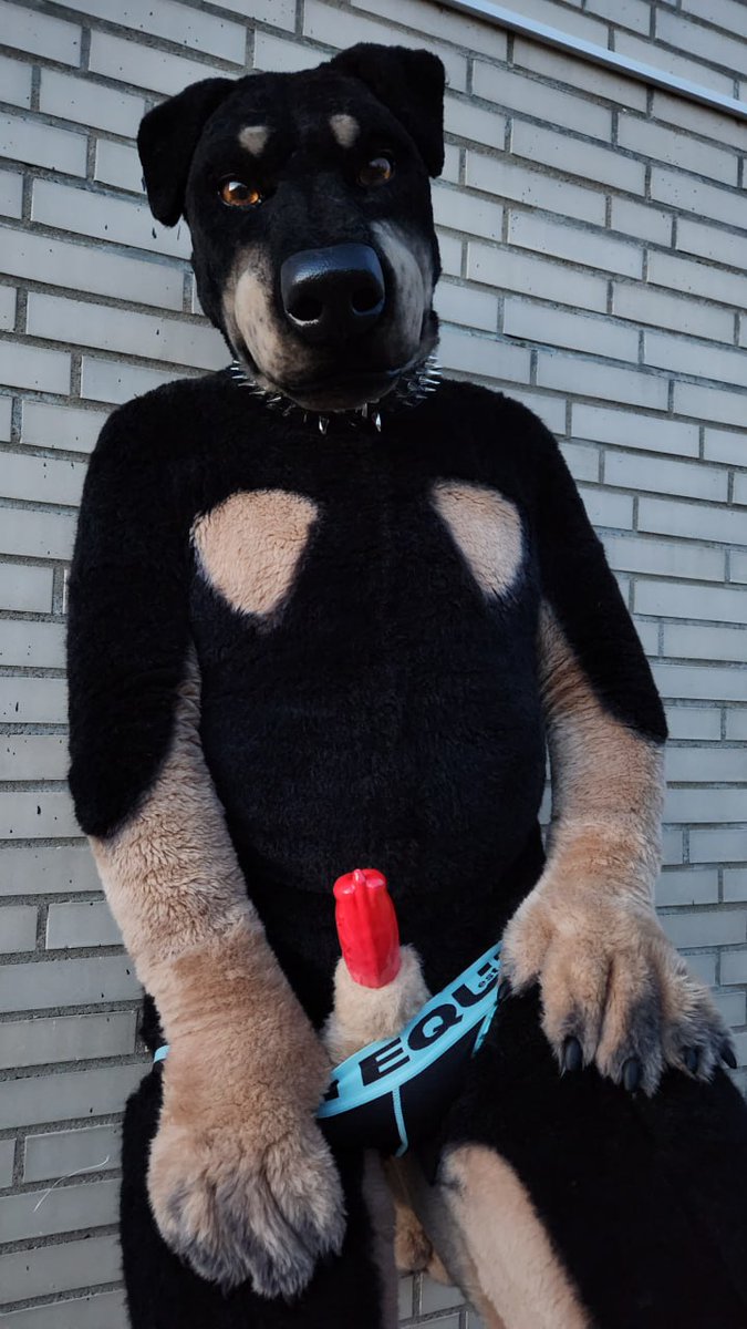 Come on. Beg for the knot.