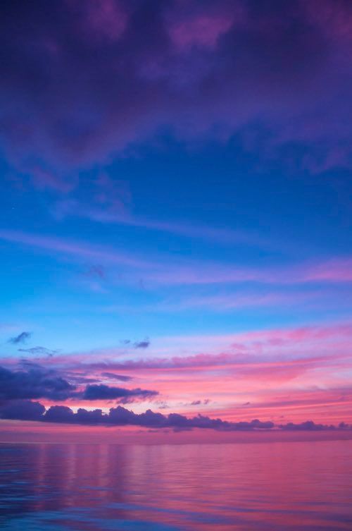 Aesthetics (@aestheticspost_) on Twitter photo 