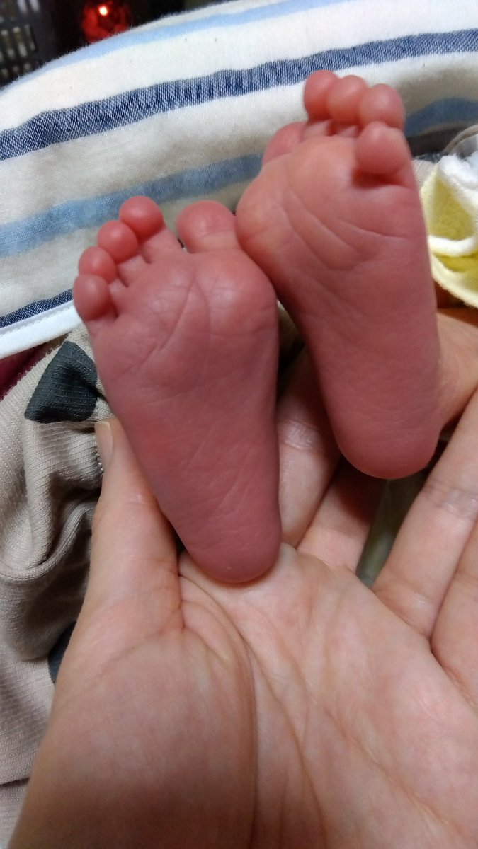 _Gnu_Gnu's tweet photo. 11月25日に生まれました👶
9年ぶりの新生児、かわいすぎる♥️ https://t.co/cDm8ipEjAw
