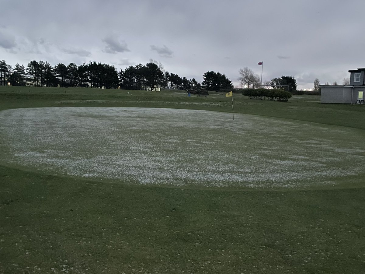 GY & Caister Golf Club ⛳️ tweet media
