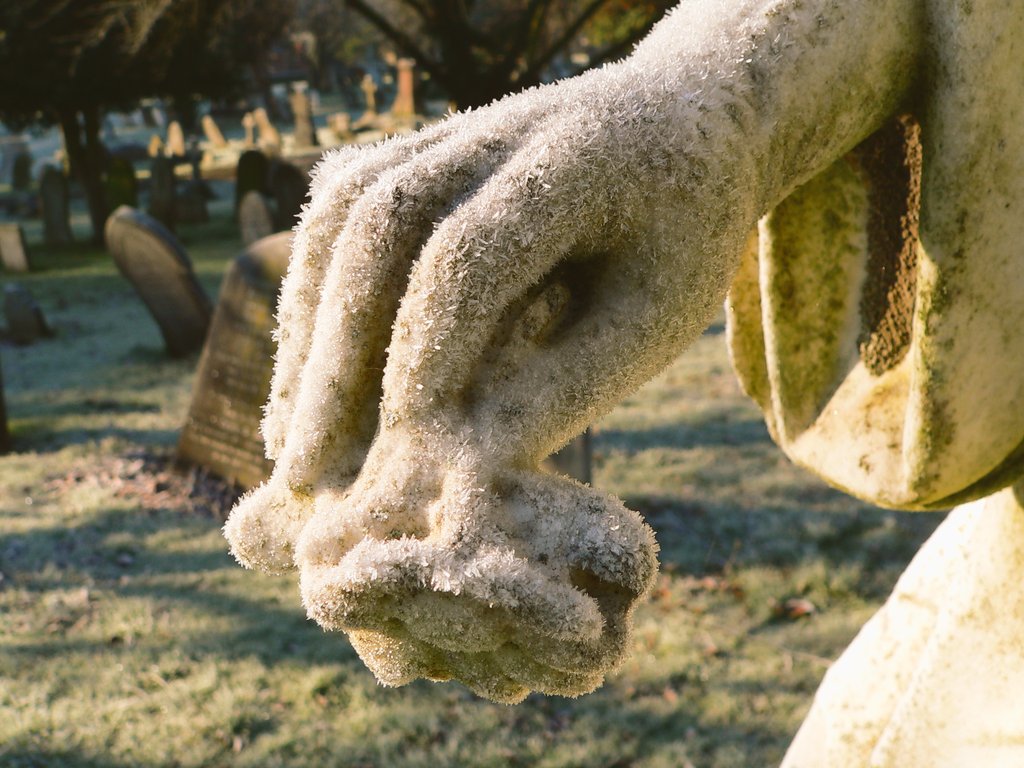 Friends of Foster Hill Road Cemetery tweet media