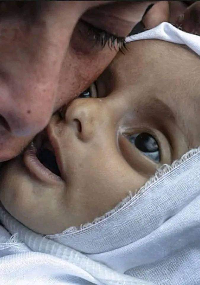 هانى المصرى tweet media