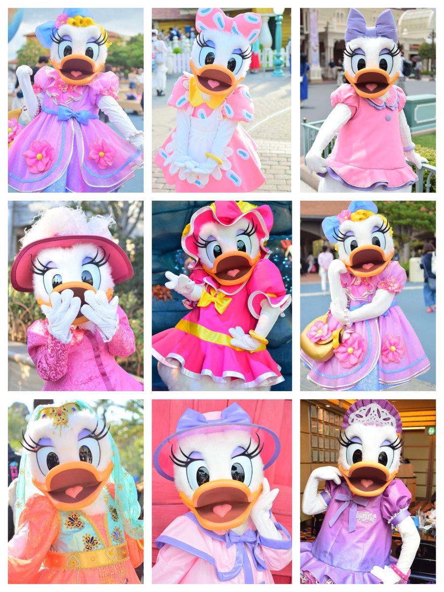 DaisyResort0109's tweet photo. 🎀Daisy Duck🎀

今年最後のお友達探し〜🫶🏻
ﾘﾎﾟｽﾄ優先で気になった方お迎え行きます💠
#twitter上にいるDヲタ全員と繋がるのが密かな夢だったりするのでとりあえずこれを見たDヲタはRTもしくはフォローしていただけると全力でフォローしに行きます https://t.co/KklvuPbkt5