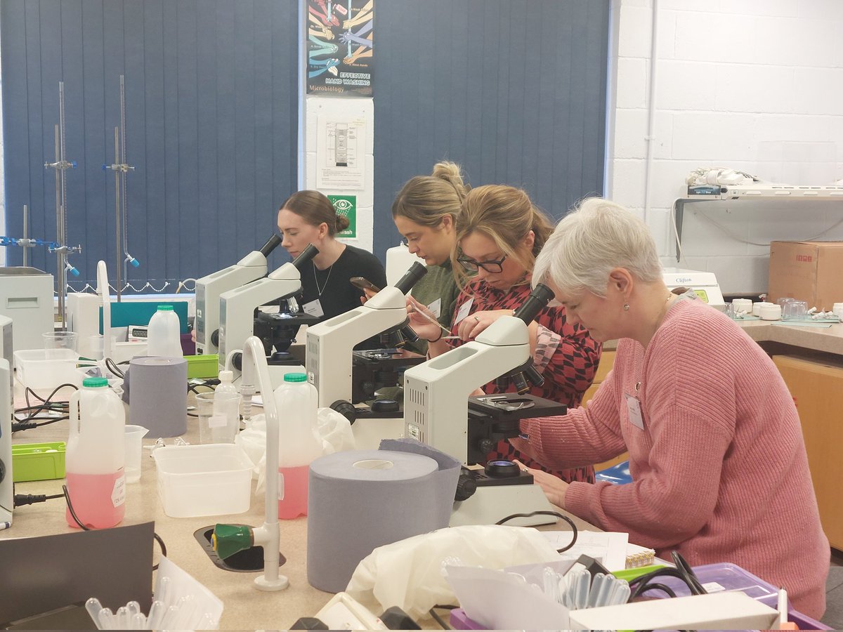 SSERC Biology tweet media