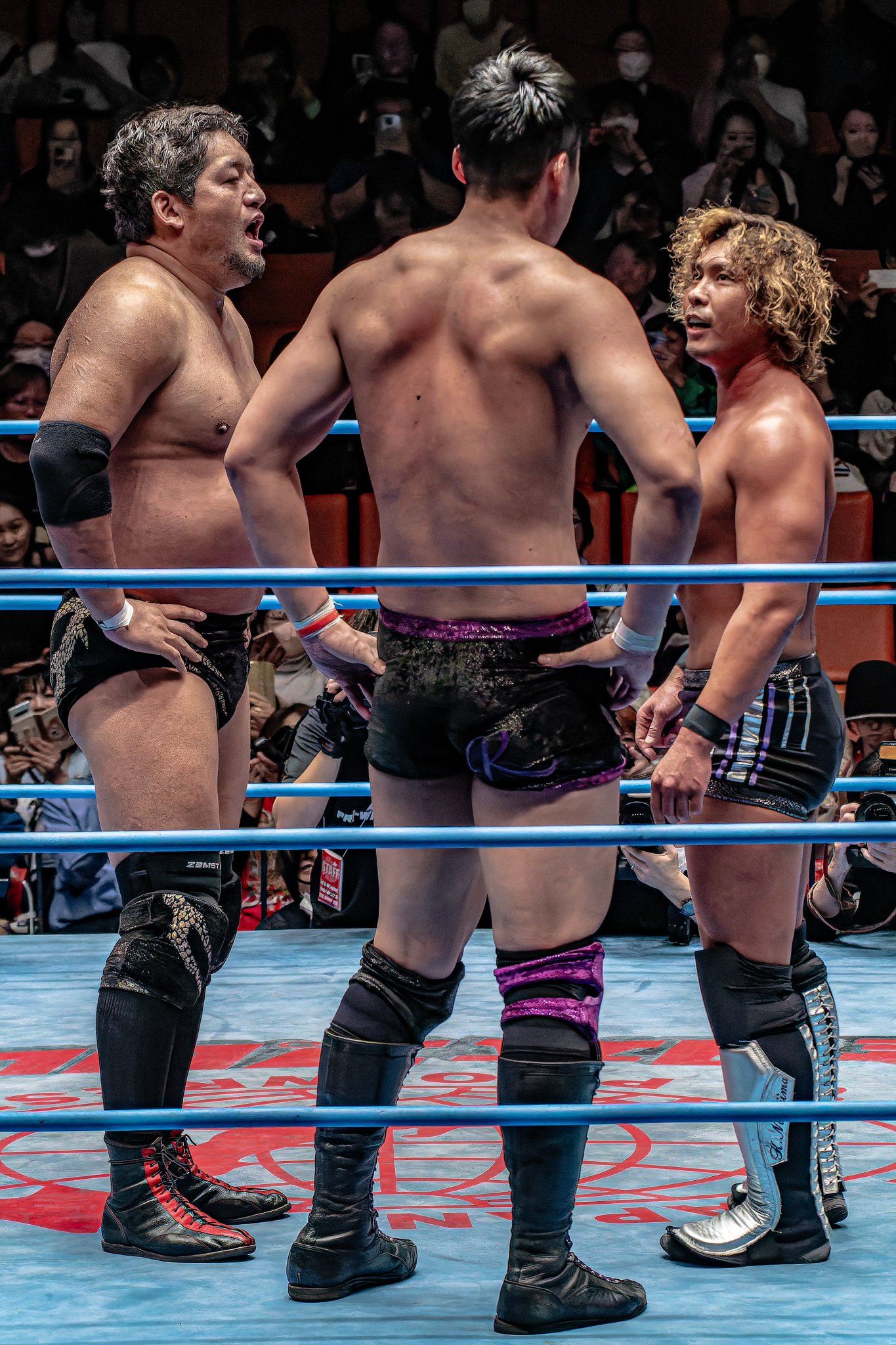 【中古】 青春のプロレス野郎/鶴書院/立石一夫 中古】 青春のプロレス野郎 / 立石 一夫 / 鶴書院 [単行本