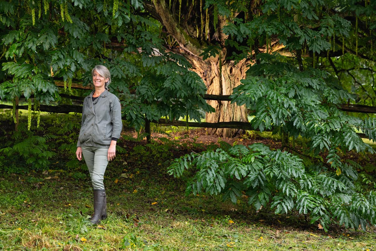 hautsdefrance's tweet photo. Et si l'arbre de l'année était encore un arbre des #hautsdefrance ?
🌳 Cette année, c'est le noyer du Caucase du Domaine de Fresnoy de #LoisonSurCrequoise qui porte nos couleurs !
🌳 Votez ici ➡️ https://t.co/AJg7AfoyWQ https://t.co/UDJ2eaR7CF