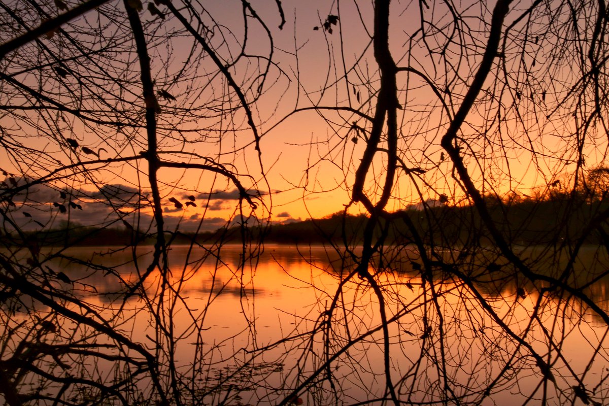 WLH1972's tweet photo. Morning all!
For #SundaySharing please #share your (own) favourite #photo of the week. 
There is no theme but mine is the breaking dawn taken through the trees on Thursday. 
#TwitterNaturePhotography #nature https://t.co/rFPYJfEBHj