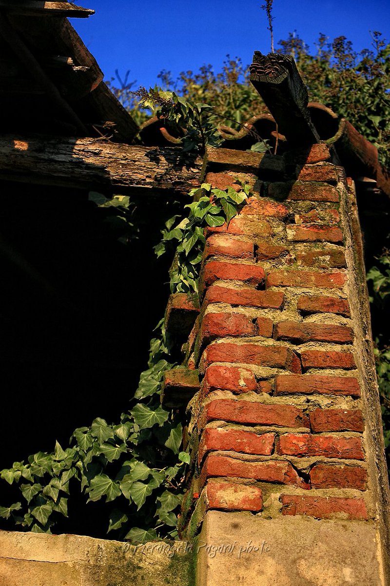 <a href="/paola140021/">@paola1402 🇮🇹</a> Sia a colori.🌷🌷🌷🌷