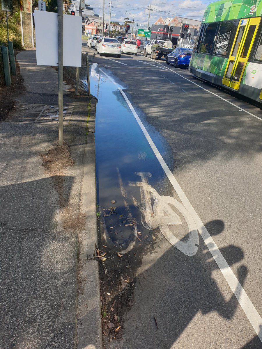 urbanizationist's tweet photo. The main bike lane heading north from Fitzroy to Northcote is still flooded, more than 12 hours since the last rainfall.

Would be good if @CityofDarebin could fix this so it drains quickly and avoids cyclists being forced into traffic.

cc new Mayor @susannenewton https://t.co/nR78PYA0Ao