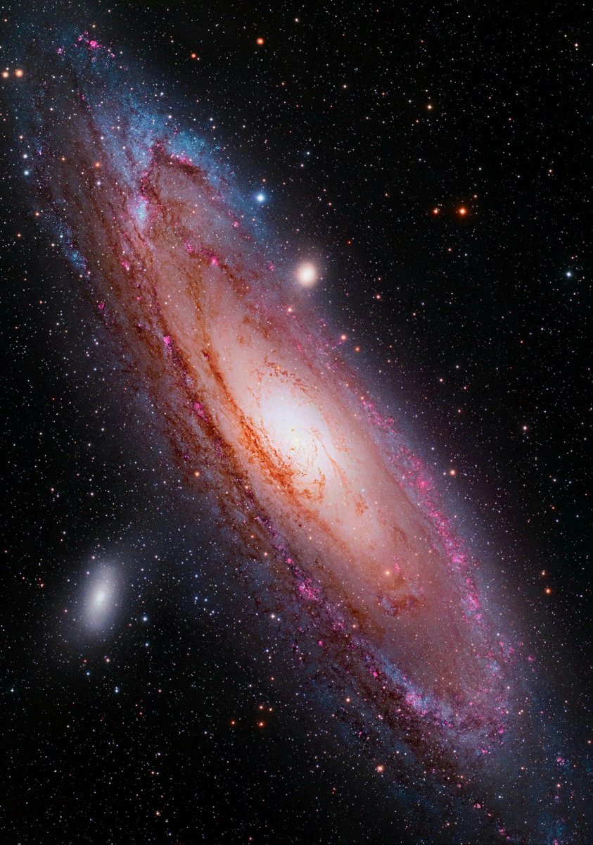 Sciencelab21 tweet picture
