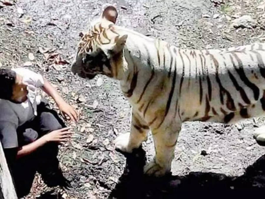 Fascinating tweet media