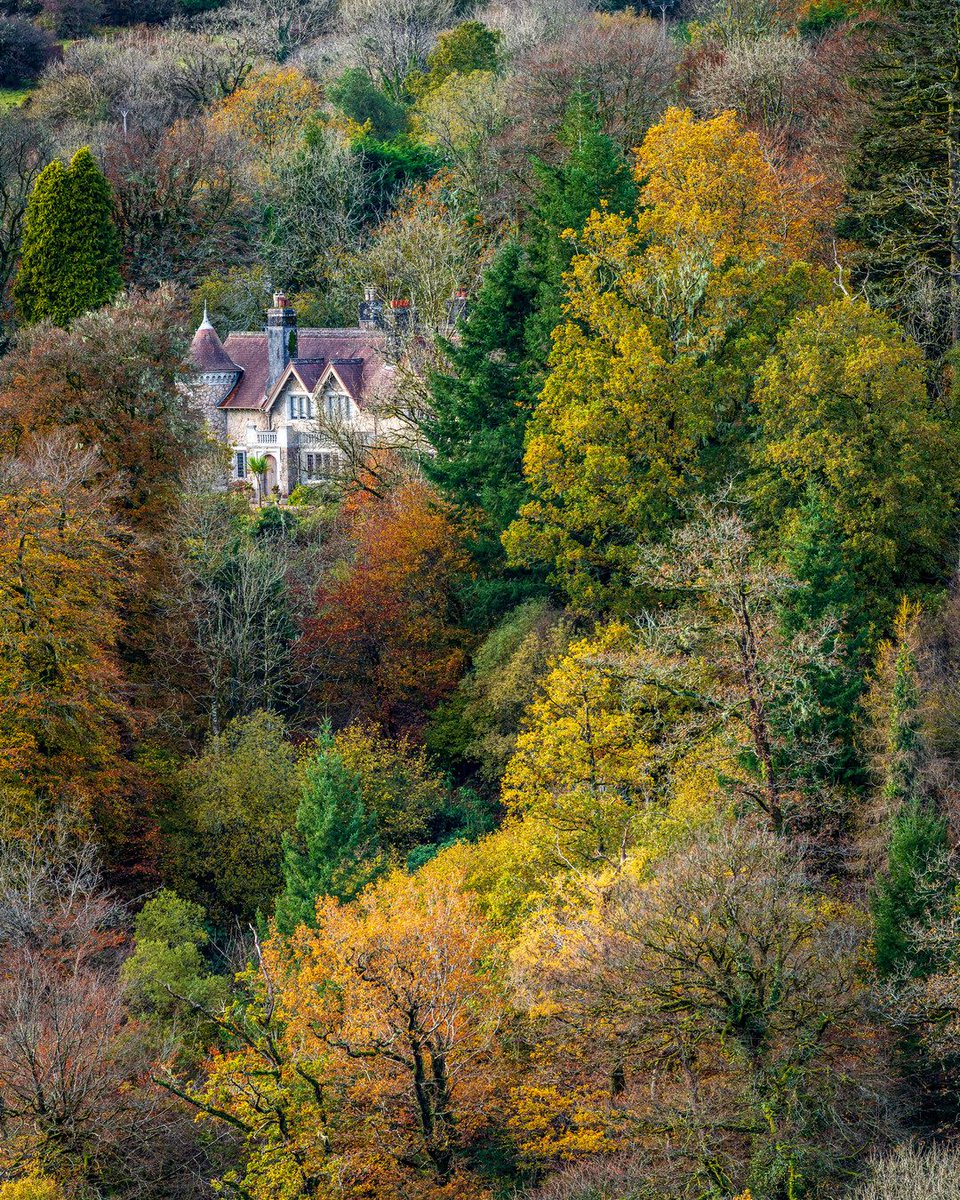 Gary Holpin | Photography tweet media