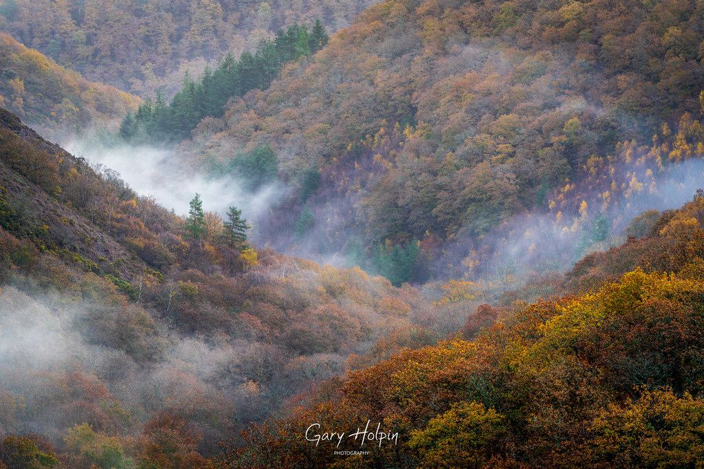 Gary Holpin | Photography tweet media