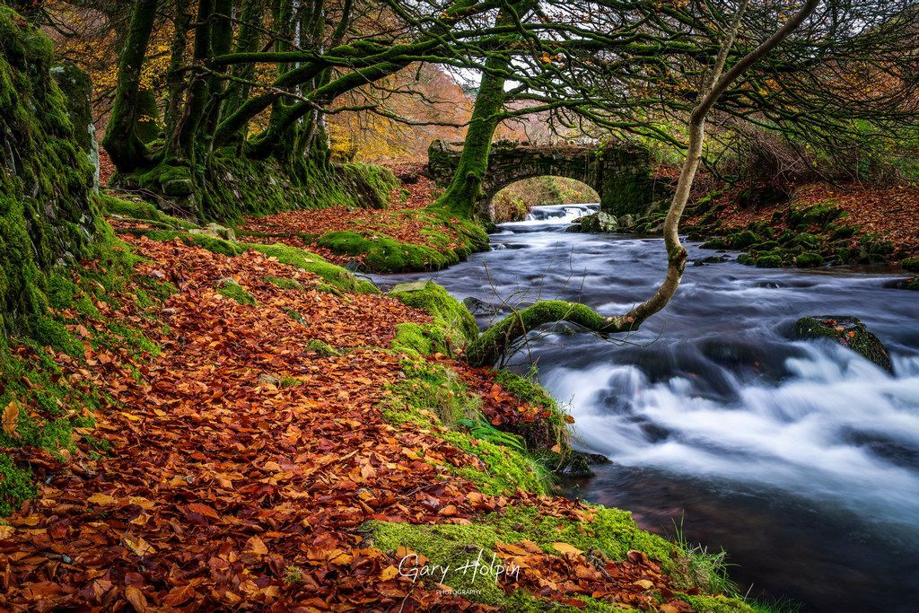 Gary Holpin | Photography tweet media