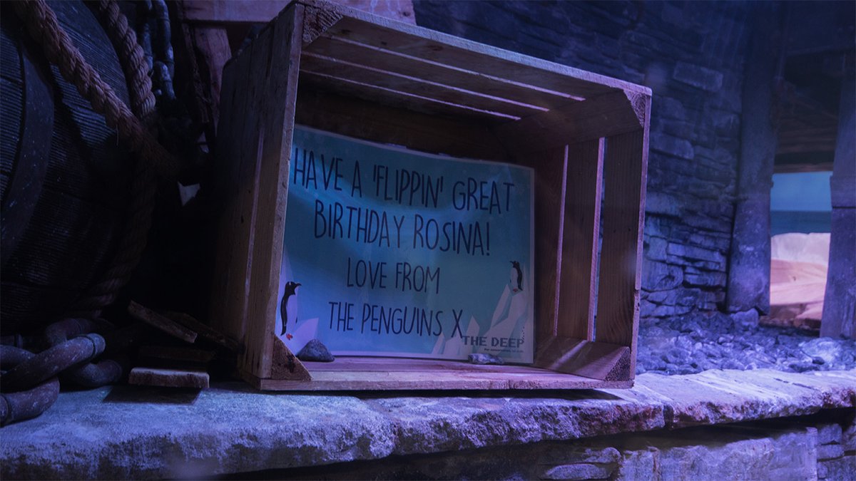 TheDeepHull's tweet photo. Looking for a memorable way to celebrate a special occasion? π₯³
You can create your own personalised sign to be placed amongst the penguins in the exhibit for the whole day of your visit! π§
β¨ Book yours: https://t.co/Ca8IQVjriW
#TheDeepHull #CelebrationSign #SpecialOccasion https://t.co/WRslxp2y16