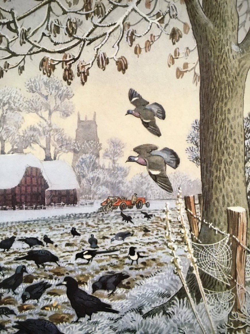 LBFlyawayhome's tweet photo. Ladybird Artists Advent Calendar
Window 3
‘Frost’
Artist: CF Tunnicliffe https://t.co/ZQcQEWhDcK