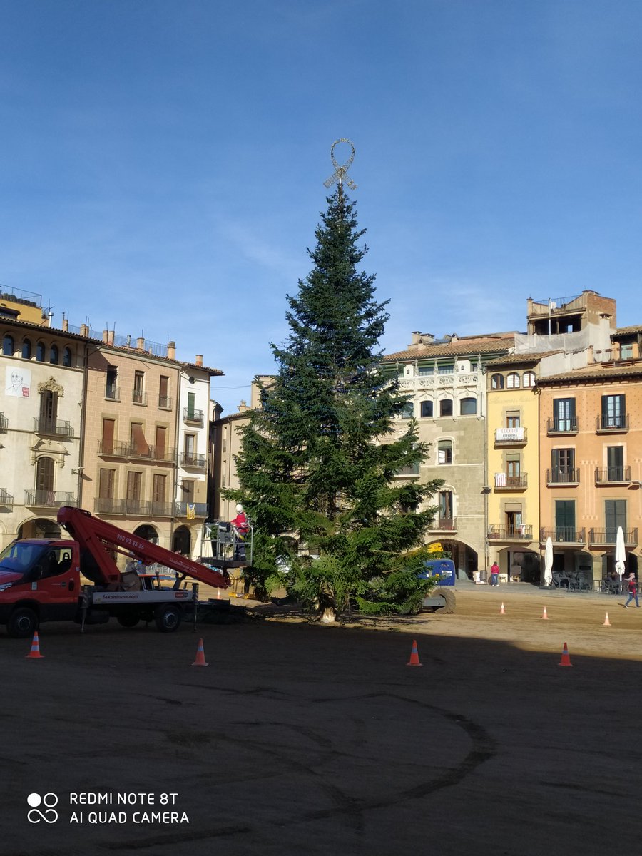 Lluís Arcalà tweet media