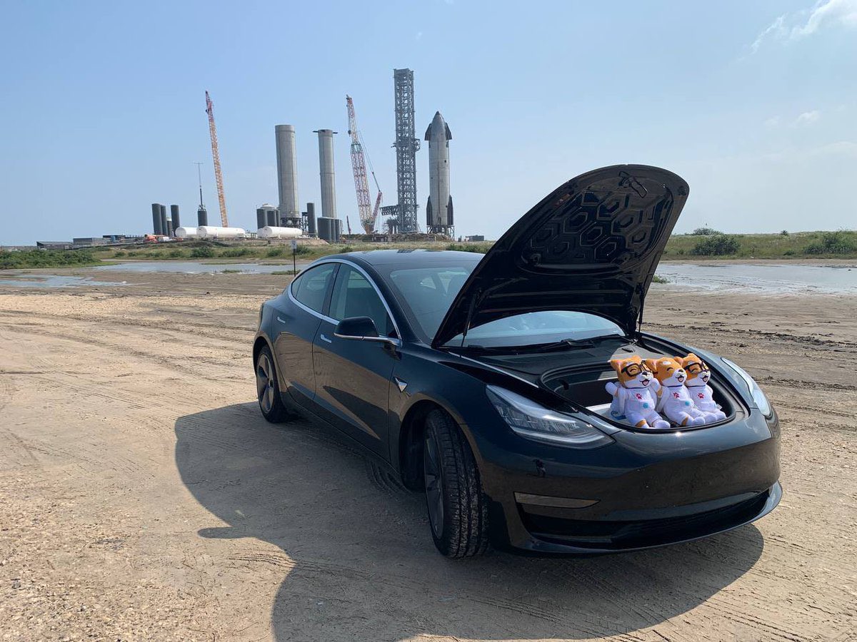DADDYDOGEBSC's tweet photo. @elonmusk https://t.co/jr56VLqF95