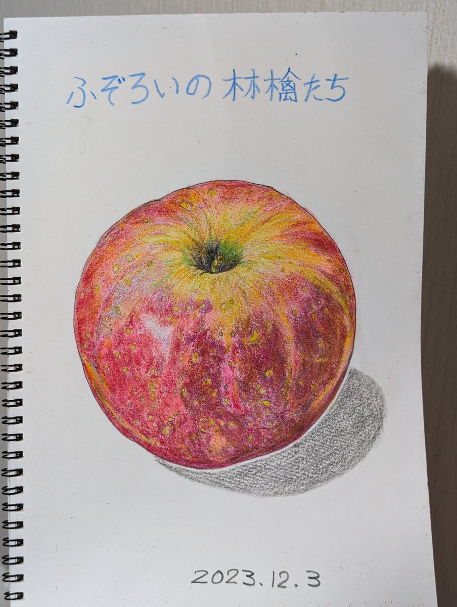 ふぞろいの林檎たち🍎 クーピーペンシルで描いてみました。 #ふぞろい