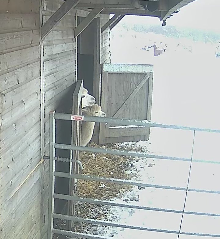 This morning’s mood: