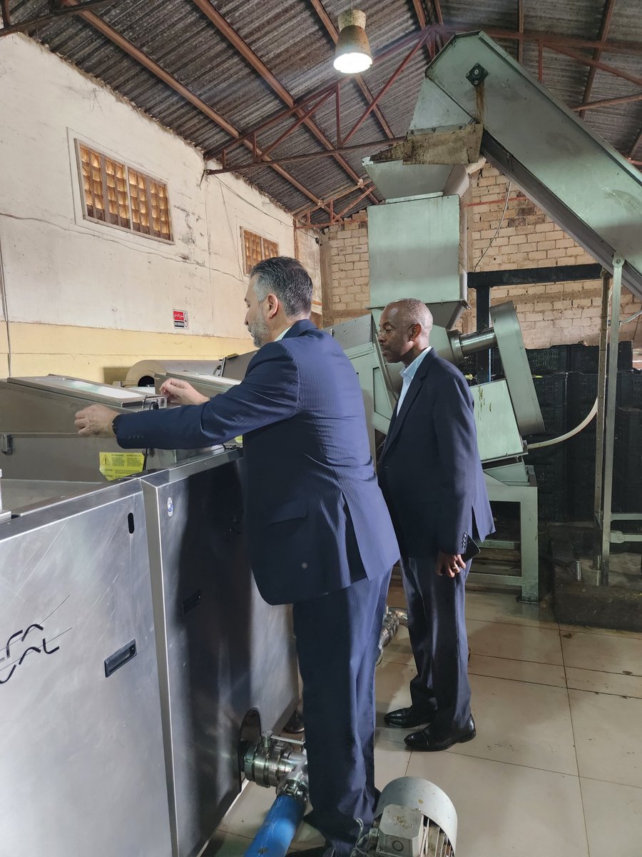 AvolioUganda's tweet photo. Thrilled to host Dr. Mugasi, Executive Director of NAADS, at our facility! His visit ensured off-takers for all avocado grades, showcasing the value addition impact. We discussed sector challenges and NAADS' vital role in promoting #Hass avocados as a cash crop in #Uganda https://t.co/vPMNxnaQCe