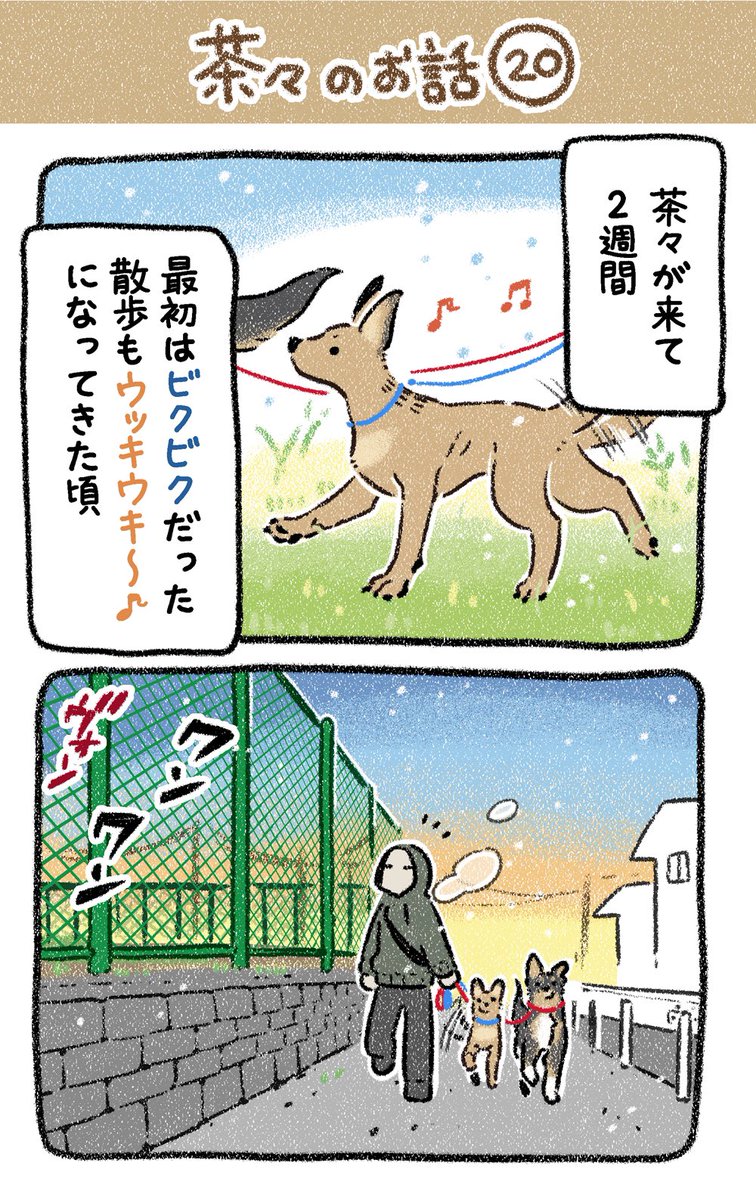 保護犬茶々のお話【第20話】
#漫画が読めるハッシュタグ 