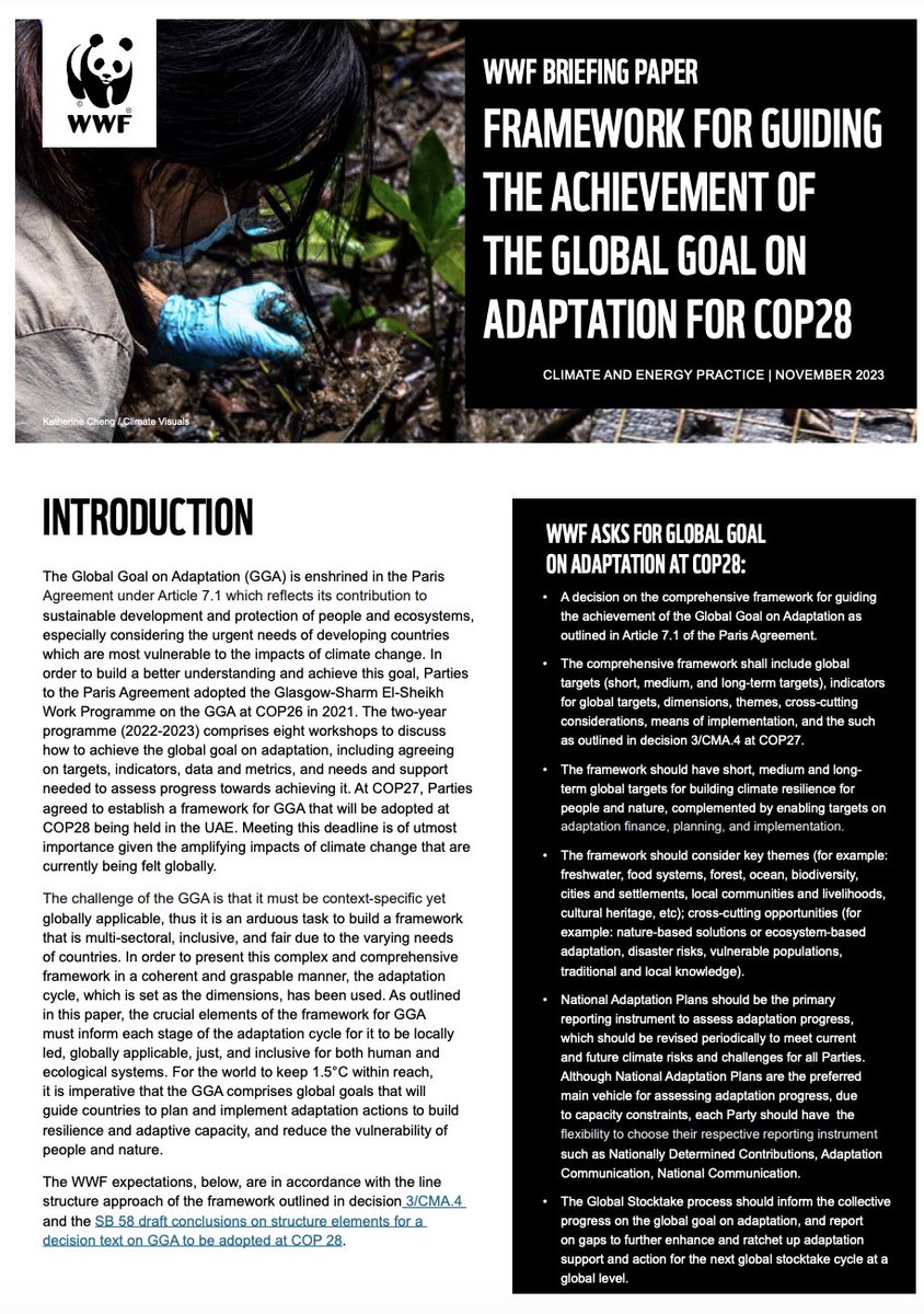 #COP28UAE Day 4: The global goal on adaptation #GGA discussion is progressing well, however developing countries' ask on #AdaptationFinance is crucial to be part of the #GGAFramework with global targets and indicators on #People and #Nature. <a href="/climateWWF/">WWF Climate & Energy</a> <a href="/UNFCCC/">UN Climate Change</a>