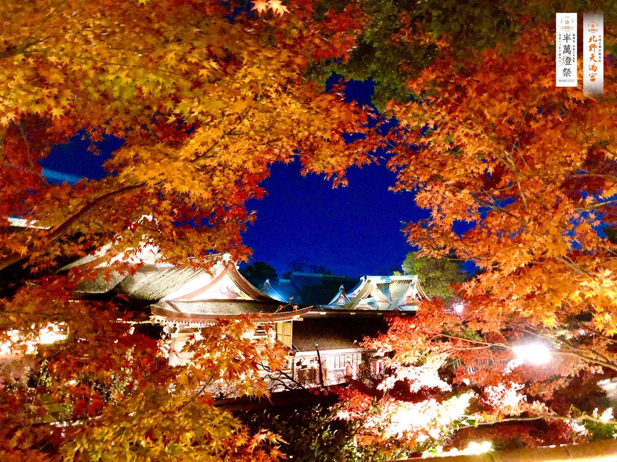 公式】KYOTO NIPPON FESTIVAL (@KYOTONIPPONFES) / X 公式】KYOTO NIPPON FESTIVAL (@KYOTONIPPONFES) / X