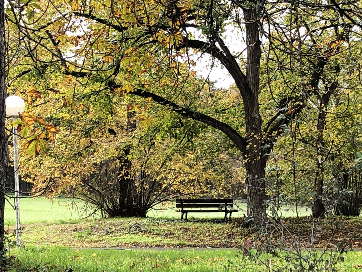 experienceloire's tweet photo. Mon banc dominical/My Sunday Bench...autumnal bench in Southern Touraine.
📷@iamjamescraig
@Slygardy @ElfieNeuberger @Pauline_Nollet @DELARUEEm @MartineOllie @GwendalDecarri1 @JusteCentriste @PuthonM @jmlpyt @BernardiniRCF @Salerpipopette
@so_tourisme #MyFaveBench https://t.co/kBWSFve5aO