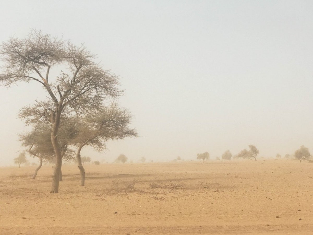 Filippo Grandi (@filippograndi) on Twitter photo Climate change is an existential threat to all. But those least responsible are being hit the hardest.
Today on Health, Relief, Recovery and Peace Day, <a href="/ICRC/">ICRC</a>, <a href="/MSF/">MSF International</a> and UNHCR stand together to call for accelerated action for those on the frontlines of the climate crisis.
#COP28 Climate change is an existential threat to all. But those least responsible are being hit the hardest.
Today on Health, Relief, Recovery and Peace Day, <a href="/ICRC/">ICRC</a>, <a href="/MSF/">MSF International</a> and UNHCR stand together to call for accelerated action for those on the frontlines of the climate crisis.
#COP28