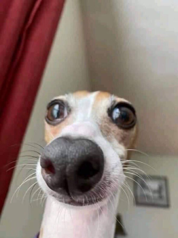 It ain’t over motherfuckers 

We just taking a winter vacaaaaaaaaaaaation atm but we did find someone cool along the way. <a href="/DYNAA4_/">DYNA</a> is apart of the team now and we vibin like crazy atm tbh.