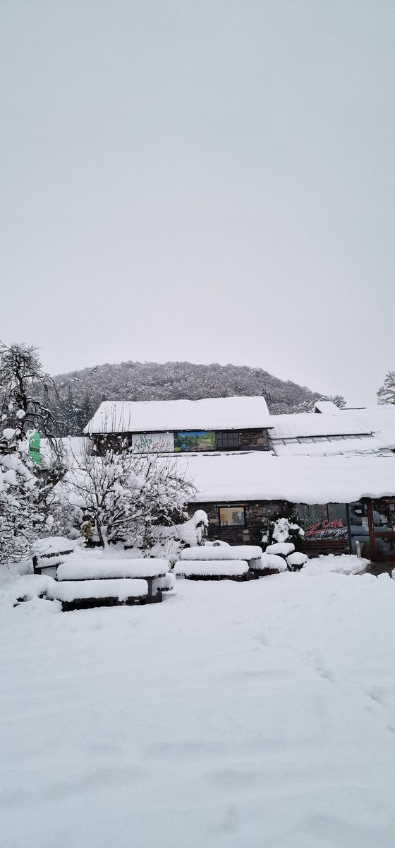 #snowfall 
#wilfsCafe Staveley